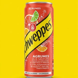 Schweppes agrumes 33 cl 舒味思